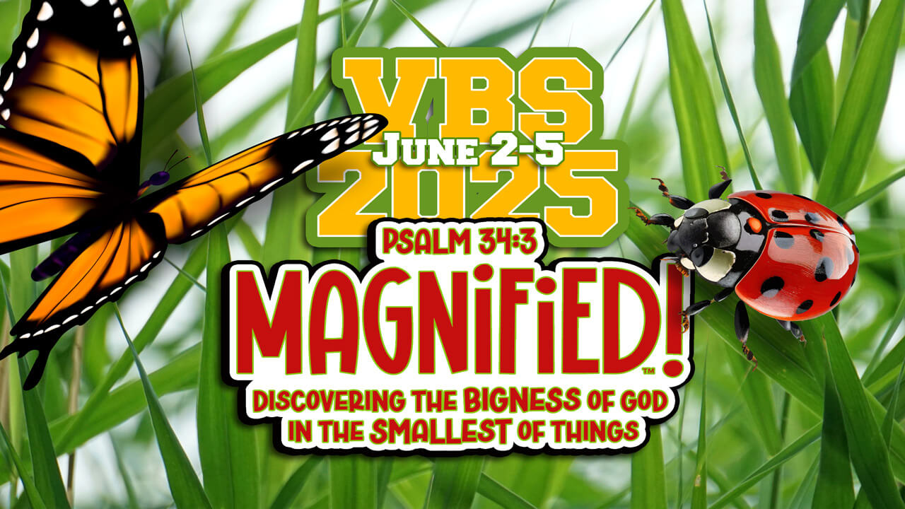 butterfly and ladybug on grass overlayed by VBS 2025 June 2-5, psalm 34:3 Magnified! discovering the bigness of god in the smallest of things